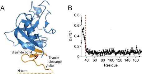 FIGURE 5.