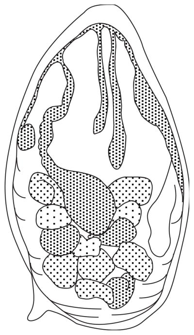 Figure 19.1.12