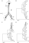 FIG 4