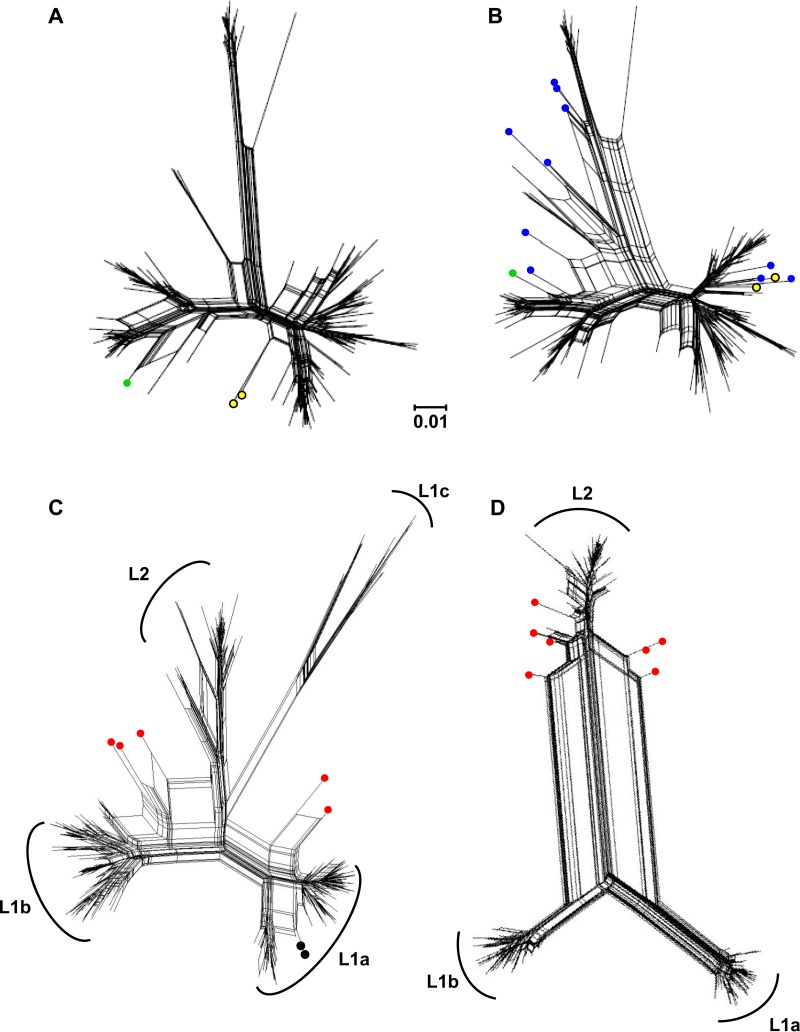 FIG 3