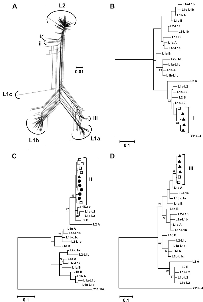 FIG 4