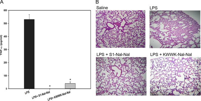 FIG 4