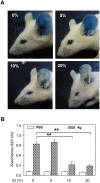 Fig 10