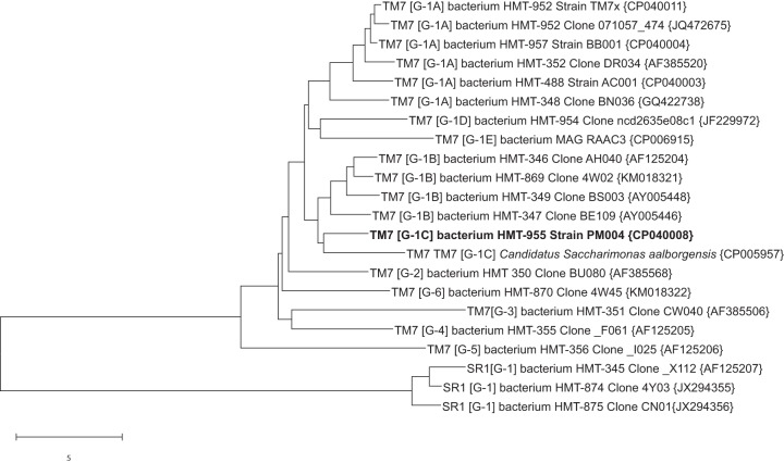 FIG 1