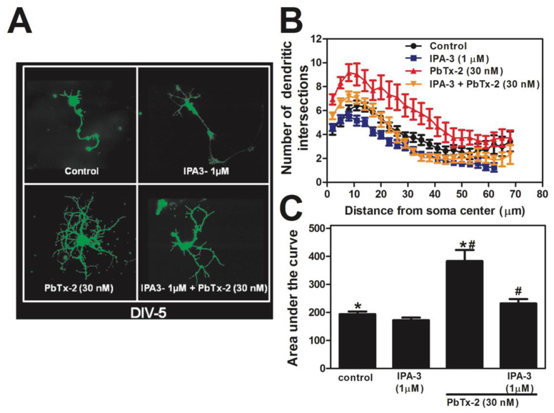 Figure 10