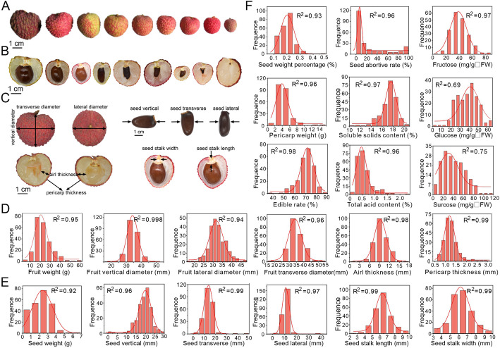 Fig. 2