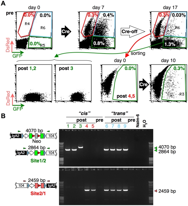 Figure 4