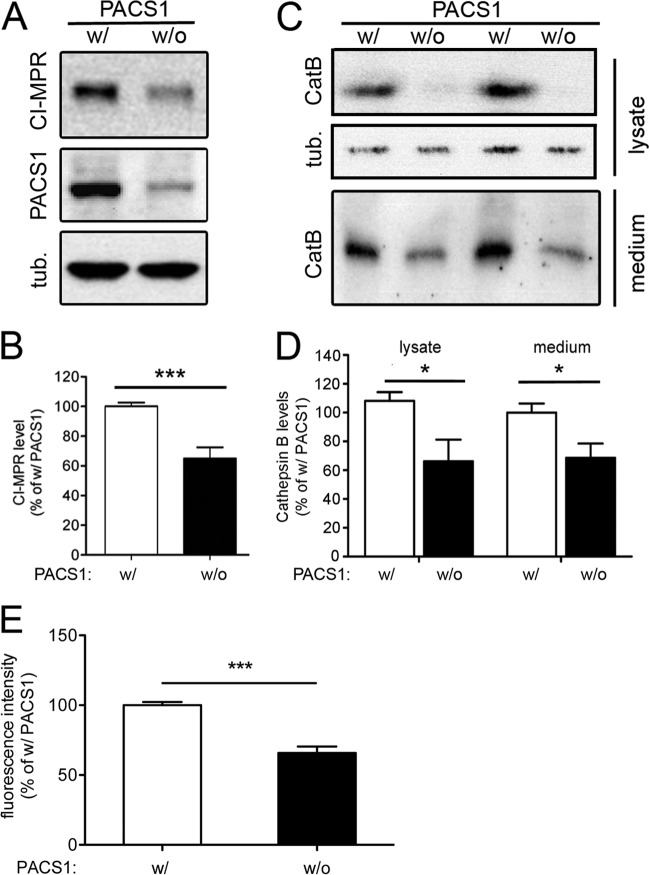 Fig 7