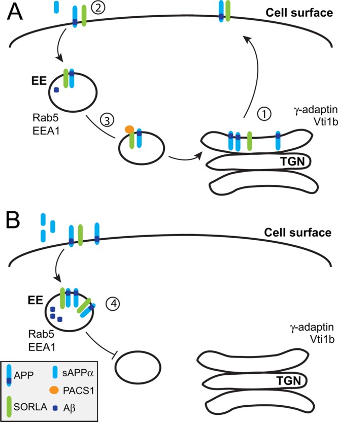 Fig 12