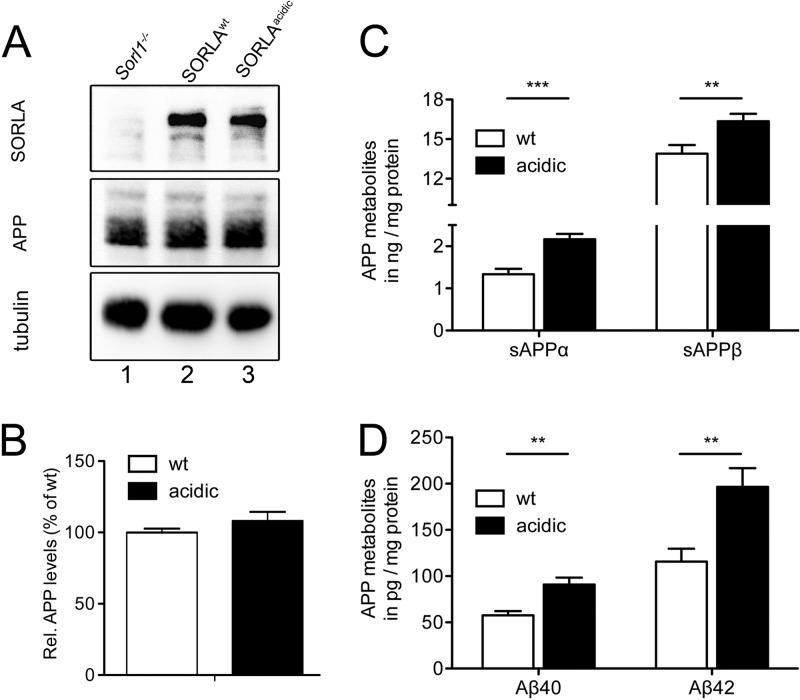 Fig 11