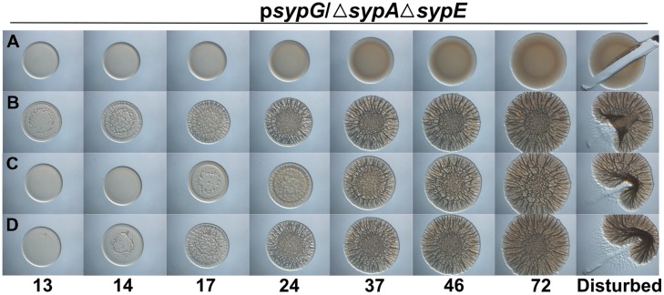 FIGURE 3