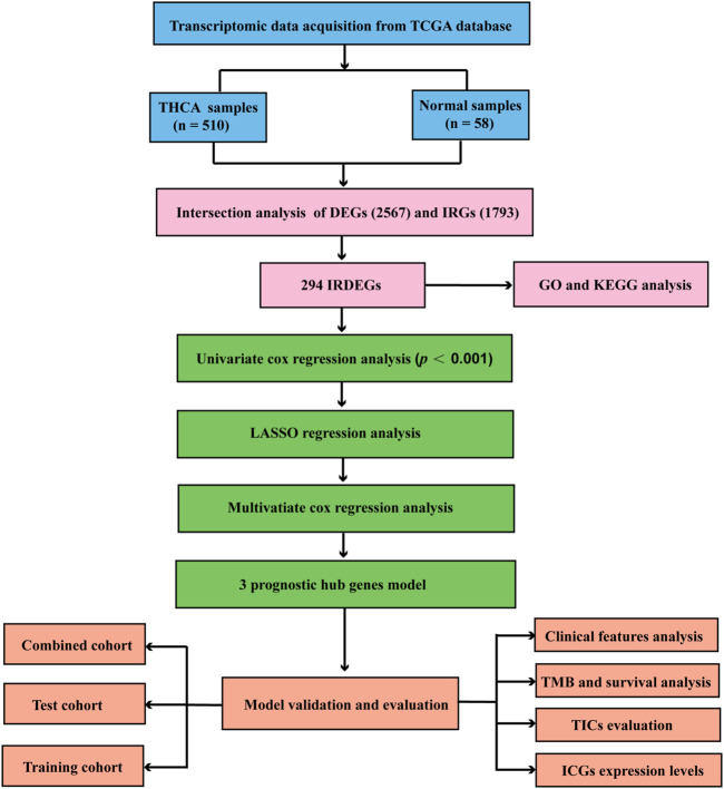 FIGURE 1