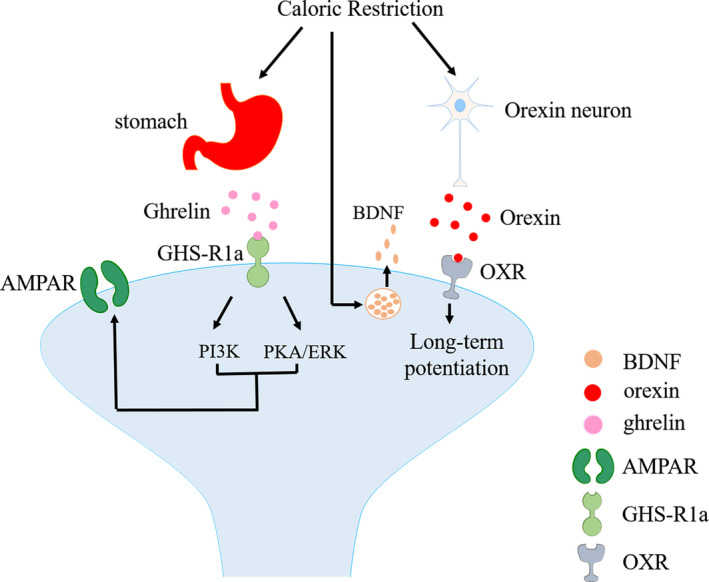 FIGURE 3