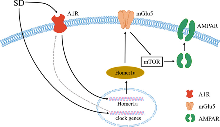 FIGURE 4