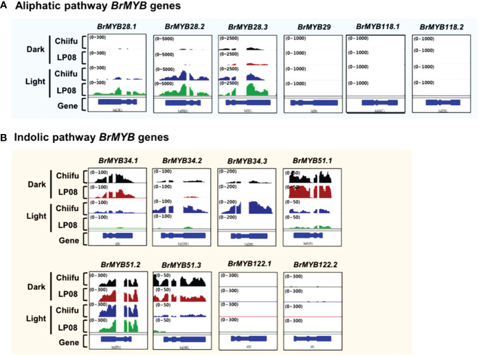 Figure 3