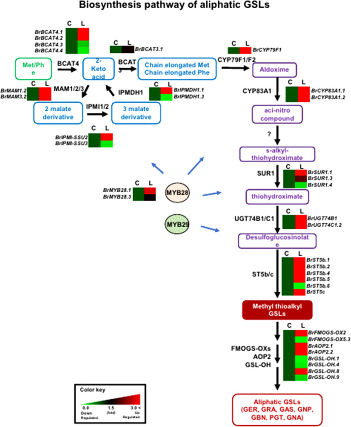 Figure 4