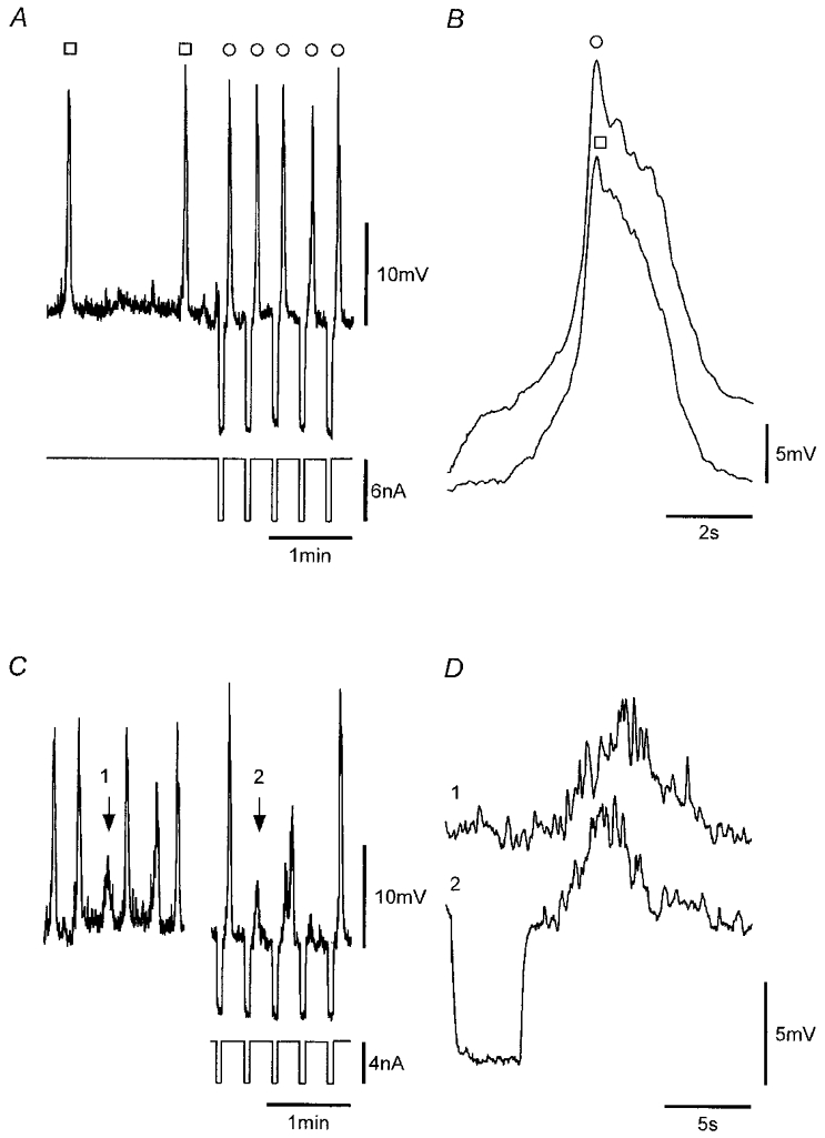 Figure 13