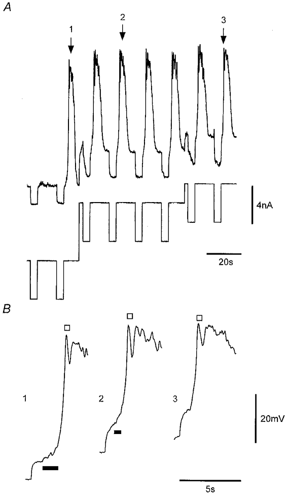 Figure 8