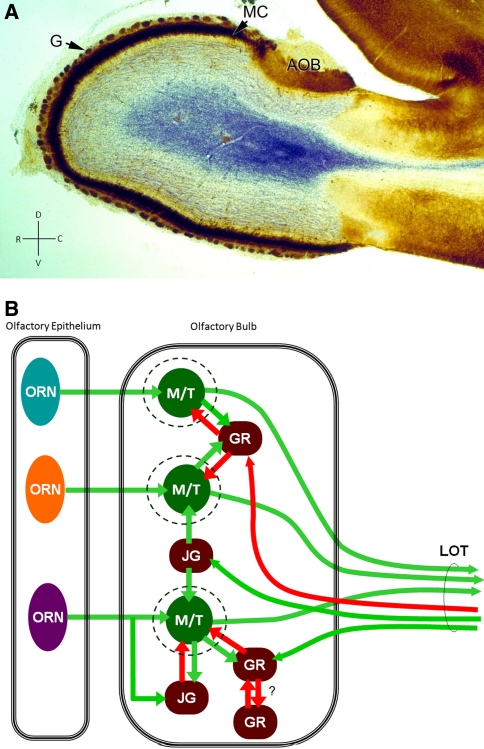 Fig. 1