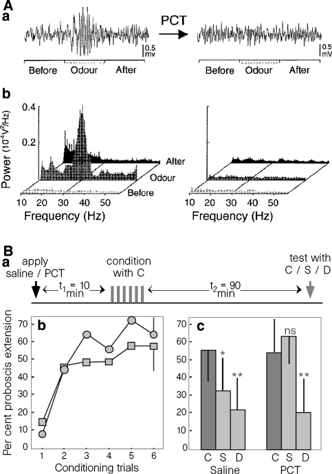 Fig. 7