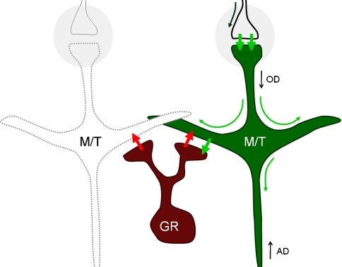 Fig. 3