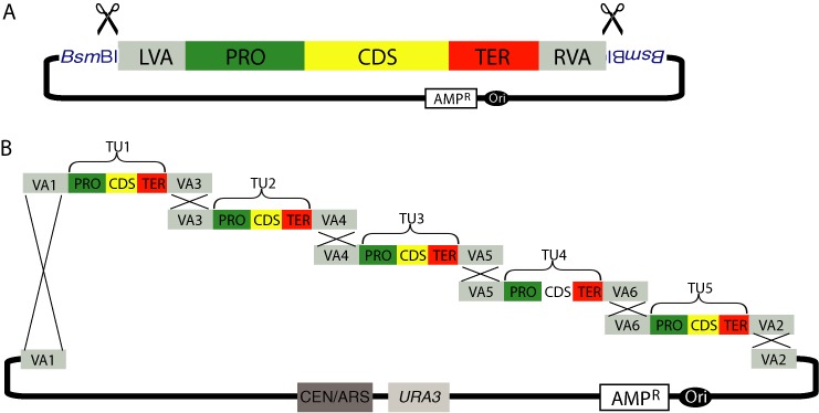 Figure 3.