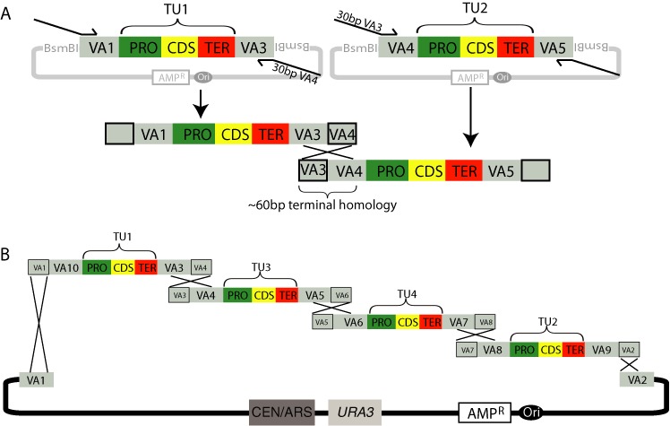 Figure 4.