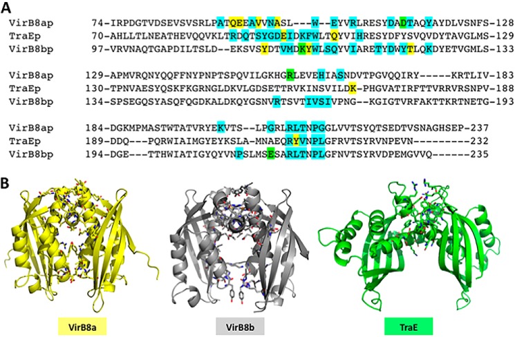 FIGURE 5.