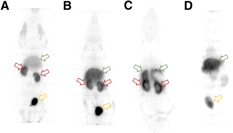 FIGURE 4.