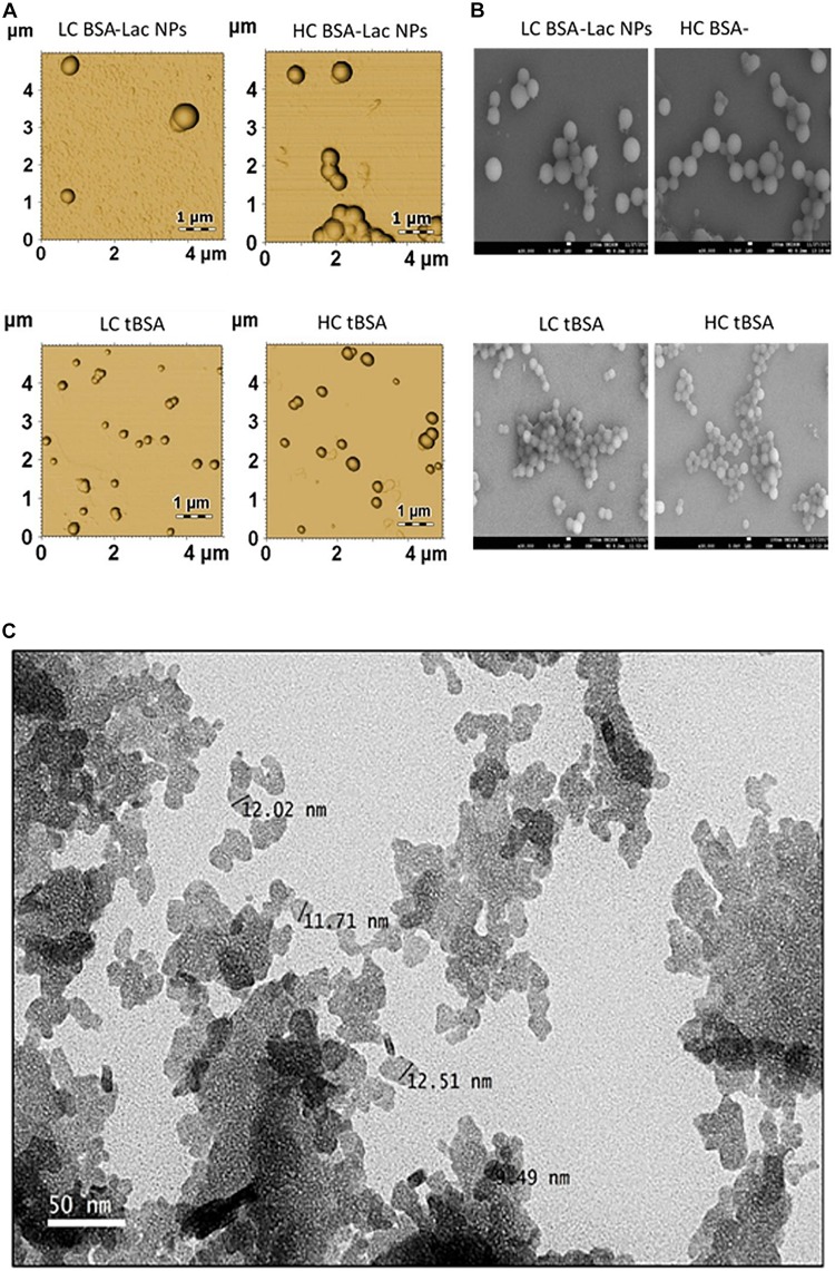 FIGURE 6