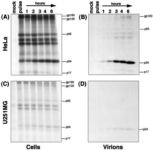 FIG. 9