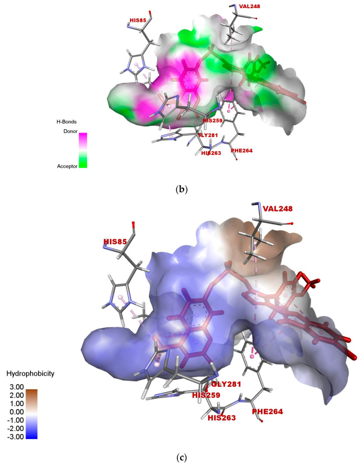 Figure 7