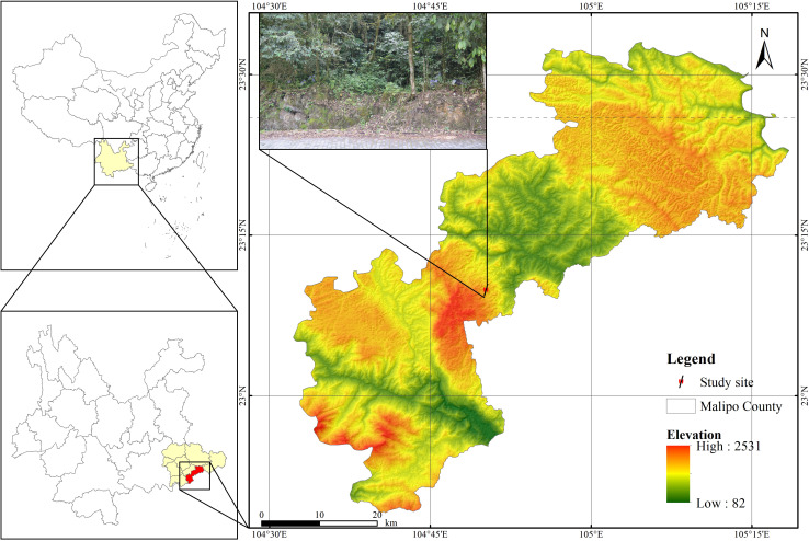 Figure 1