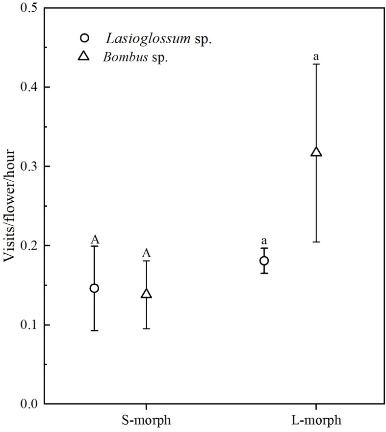 Figure 3