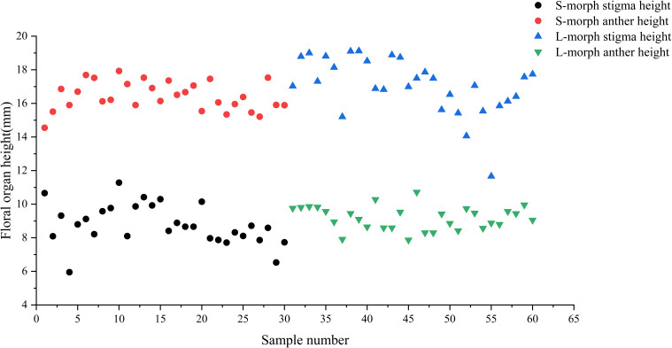 Figure 5