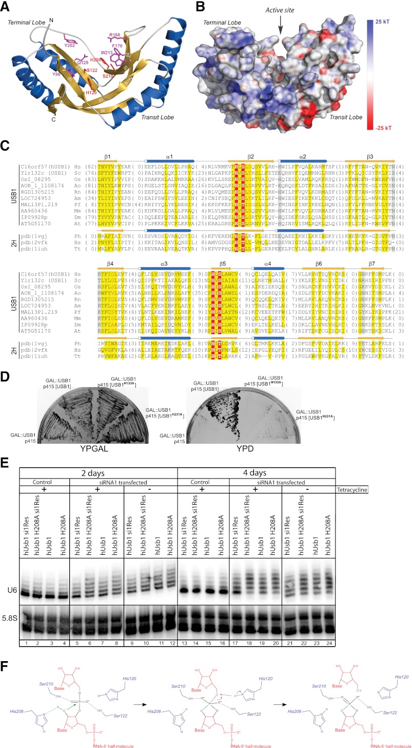 Figure 6.