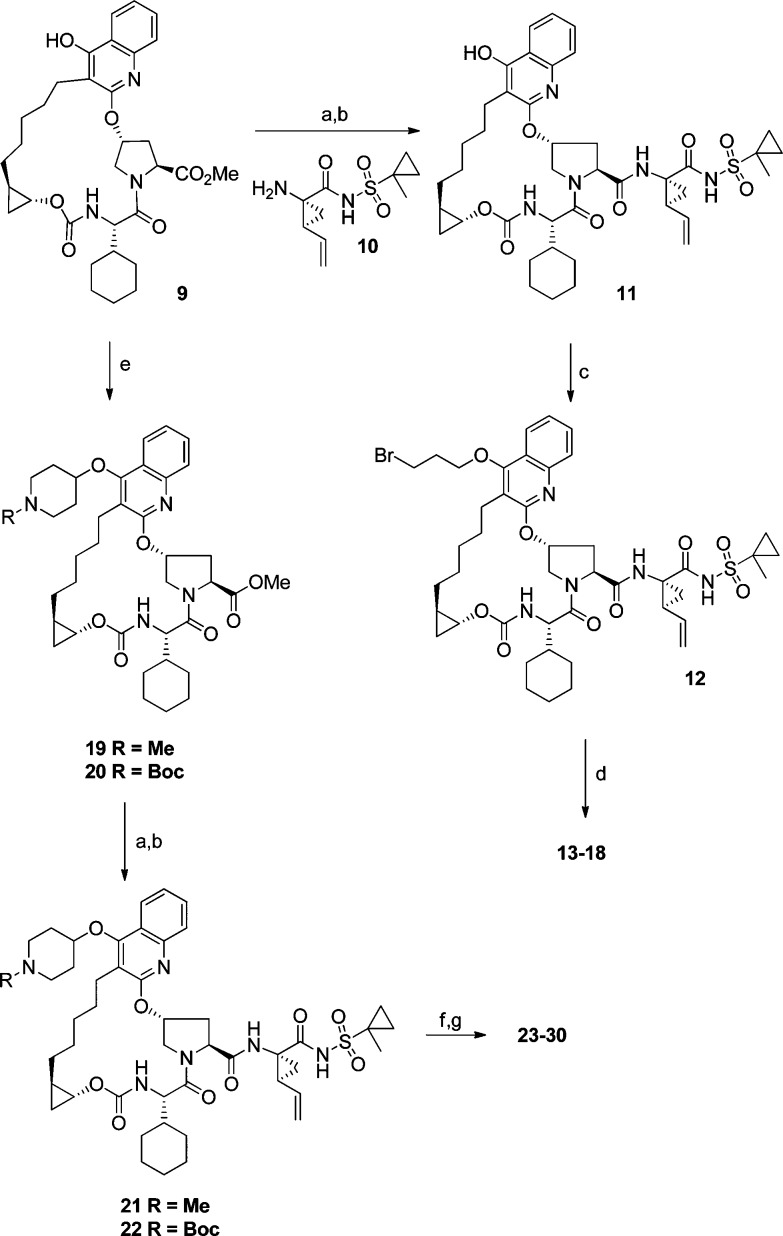 Scheme 2