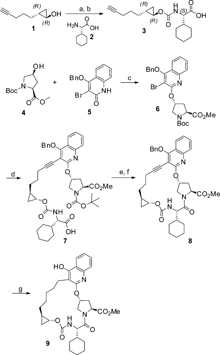 Scheme 1