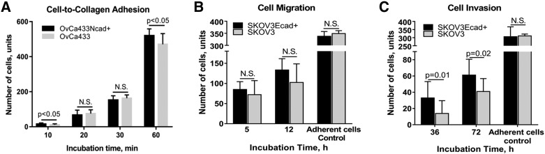 Supplemental Figure 4