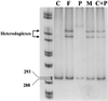 FIG. 1