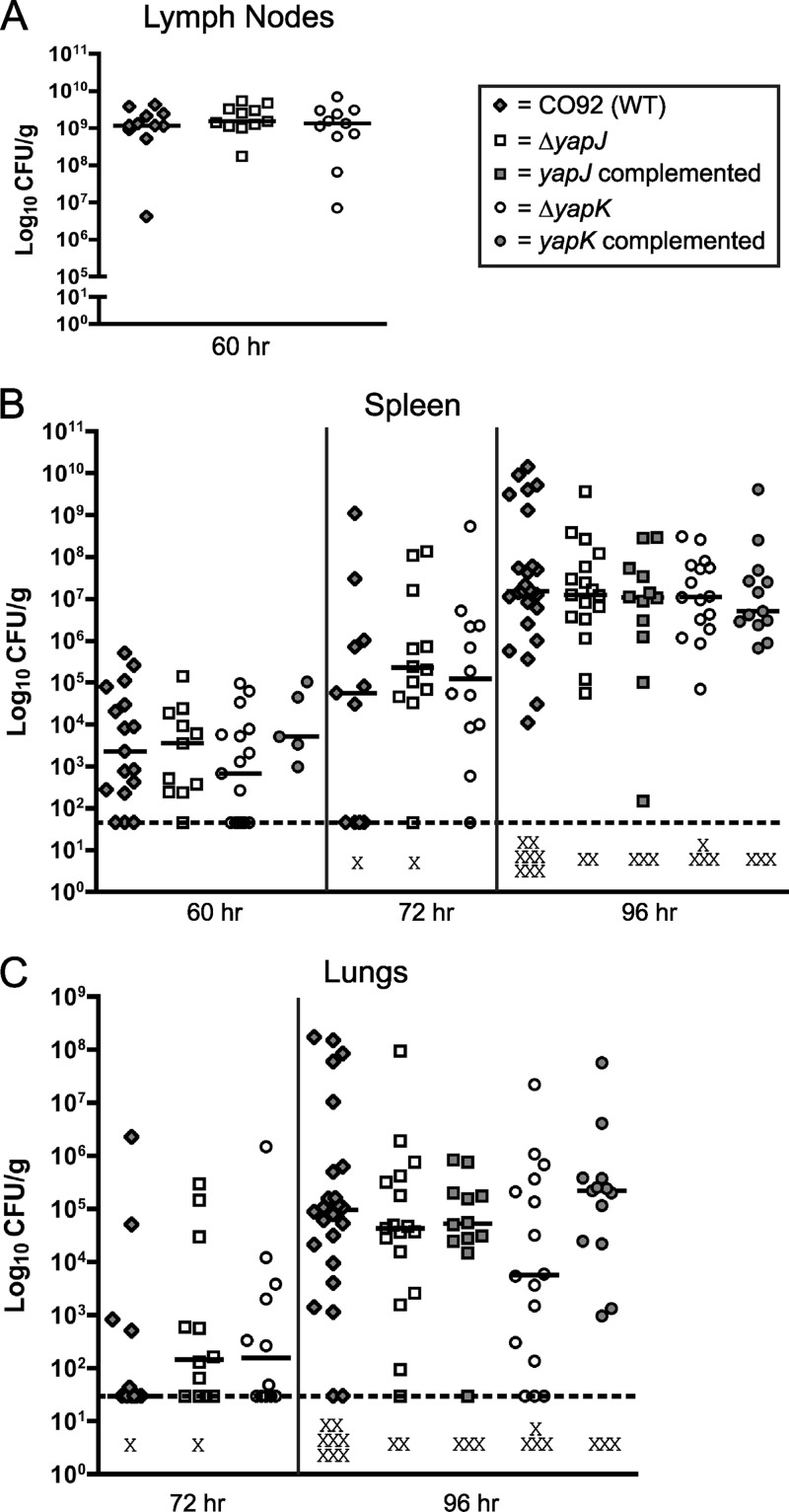 Fig 4