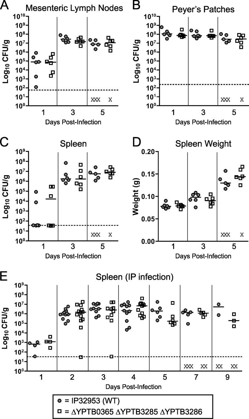 Fig 6