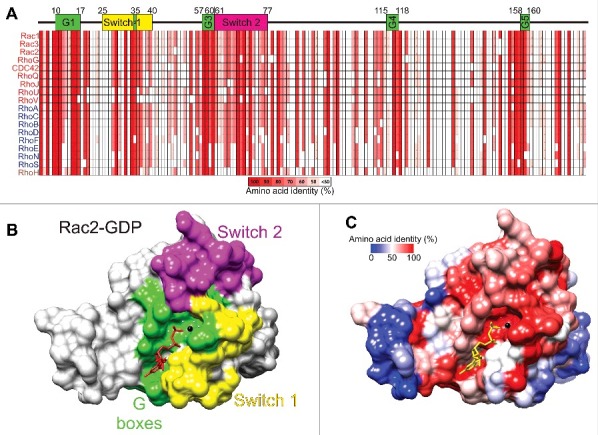 Figure 4.