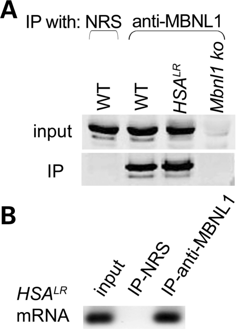 Figure 2.