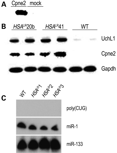 Figure 1.