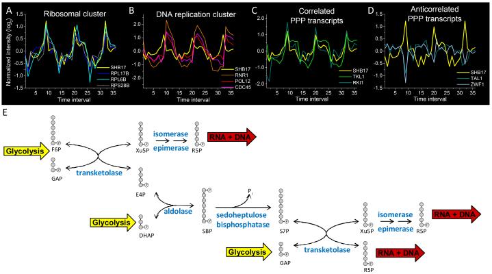 Figure 6