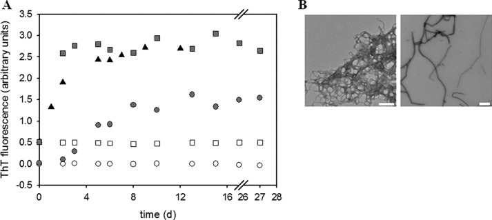 FIGURE 9.