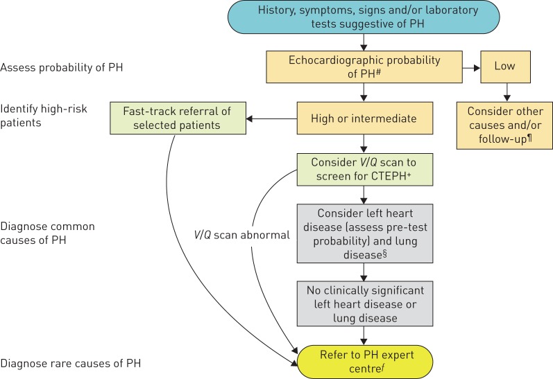 FIGURE 1