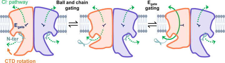 FIGURE 8: