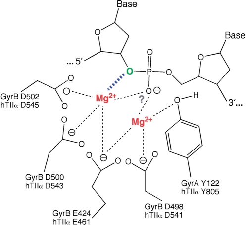 Figure 10.